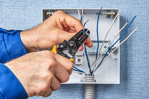 Best Electrical Maintenance Services  in Roosevelt Gardens, FL