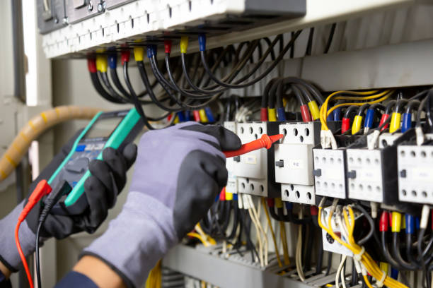 Best Electrical Panel Upgrades  in Roosevelt Gardens, FL